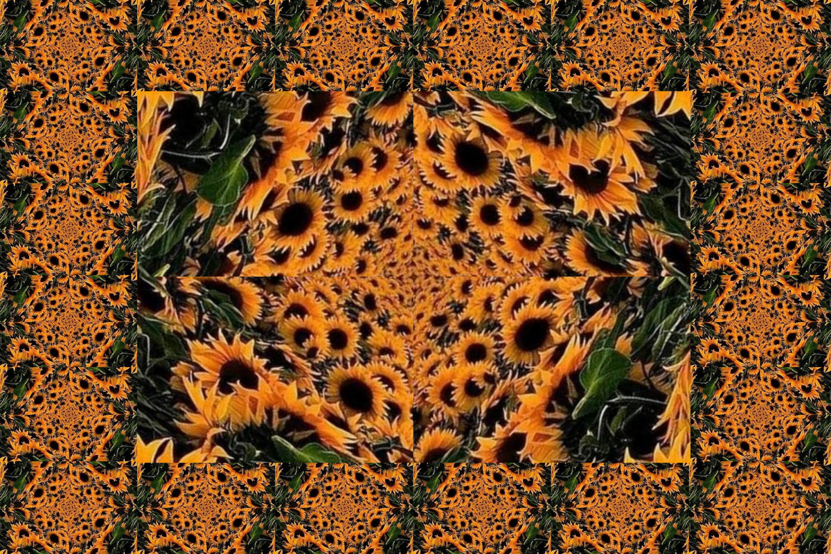 Kaleidoscope Puzzle Signed by Artist
